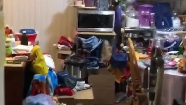 very funny video try not to laugh