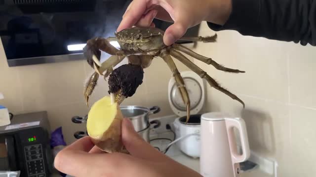 Ate a hairy crab and got in a fight