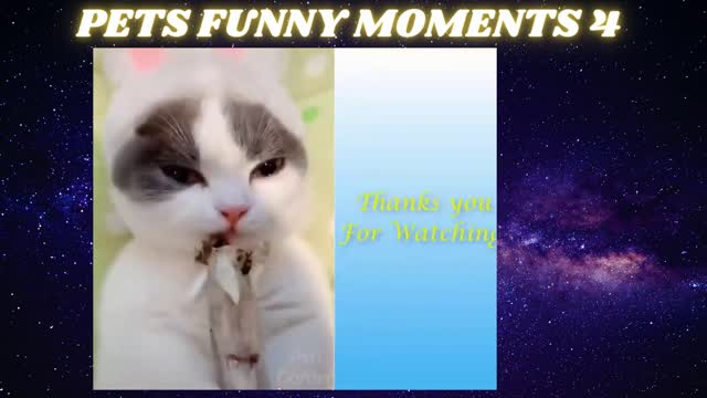 PETS FUNNY MOMENTS - [PART 4]