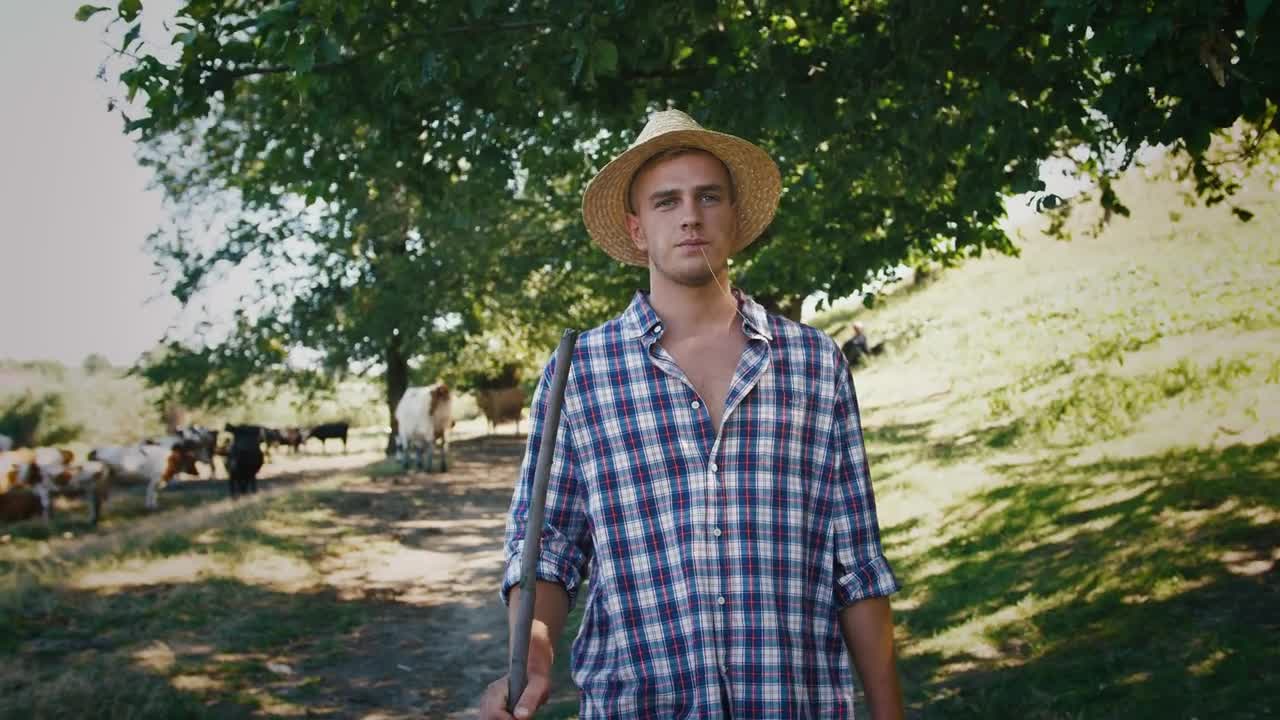 Young villager man shepherd in straw hat walking with his flock of cows