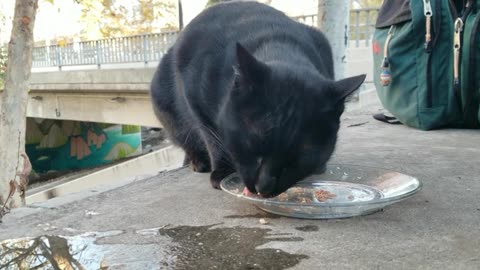 20240107 160634 Tux Eating