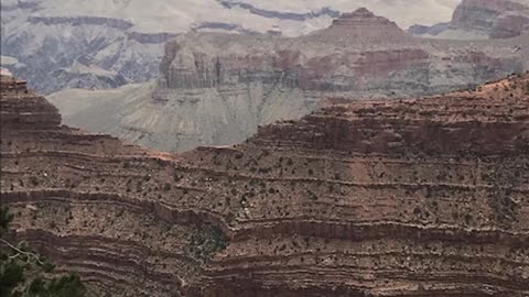 Canyon View