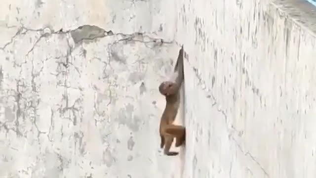 He could be a Olympic winner 🏆