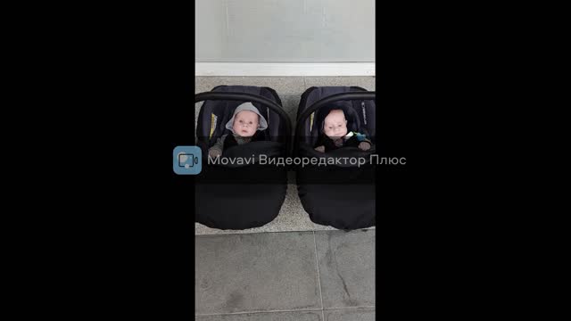 Twin brothers first time going for a walk)))