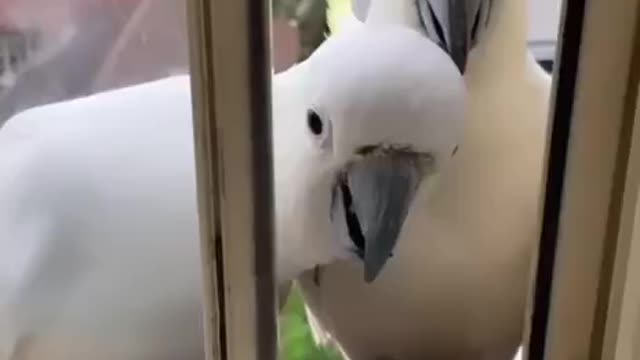 We went in to say hello.