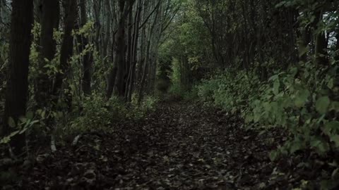 Forest- Horror Movie