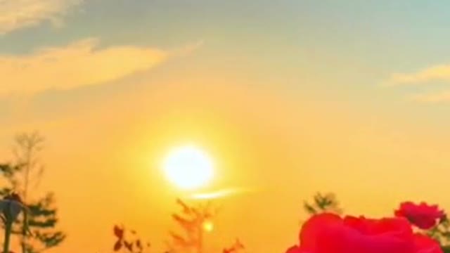 Beautiful sunset