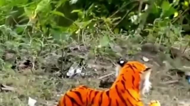 🥇 for da doggie and tiger