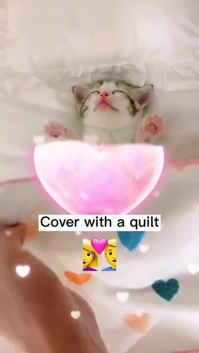 Music To Make Your Cat Sleep Within 5 Minutes | Cat Sleep Music