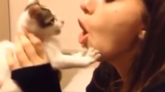 Funniest Cats 😹 - Don't try to hold back Laughter 😂 - Funny Cats Life