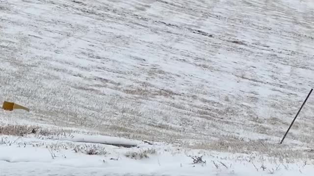 Sledding Off the On Ramp