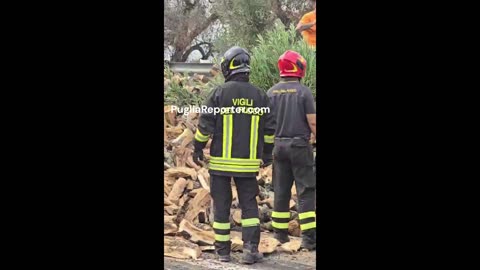 Puglia: camion carico di legna si ribalta nel brindisino, Vigili del fuoco sul posto