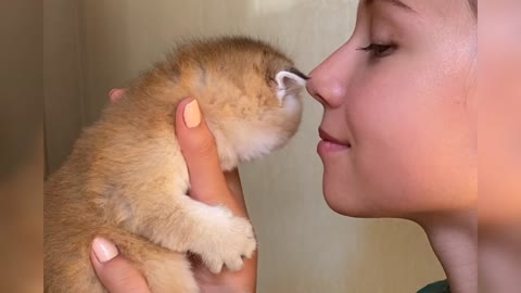 cute girl and cute kitten