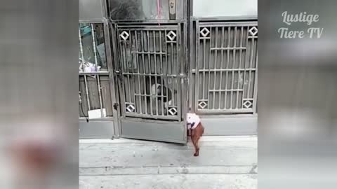 omg super cute fun