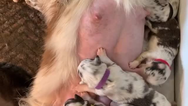 “This video is the definition of Motherhood.....