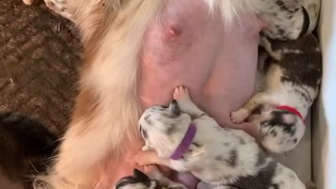“This video is the definition of Motherhood.....