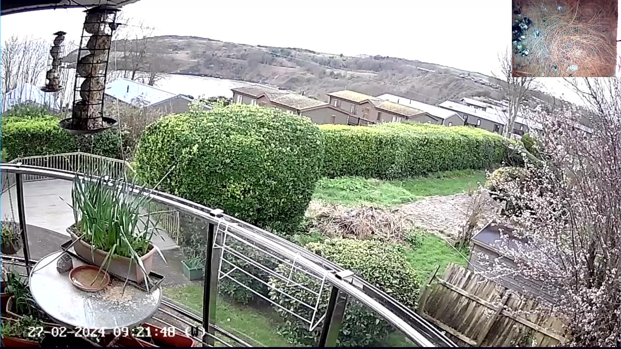 Saint Mary's cove Brixham and bird feeder