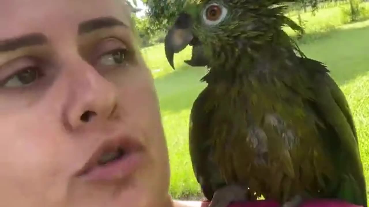 🦜Parrot will not shut up