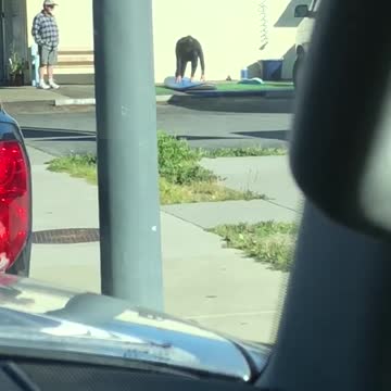 Wet suit guy practices standing up on surfboard in parking lot
