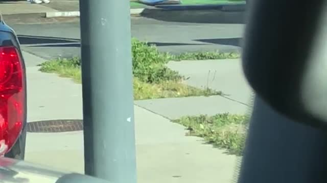 Wet suit guy practices standing up on surfboard in parking lot