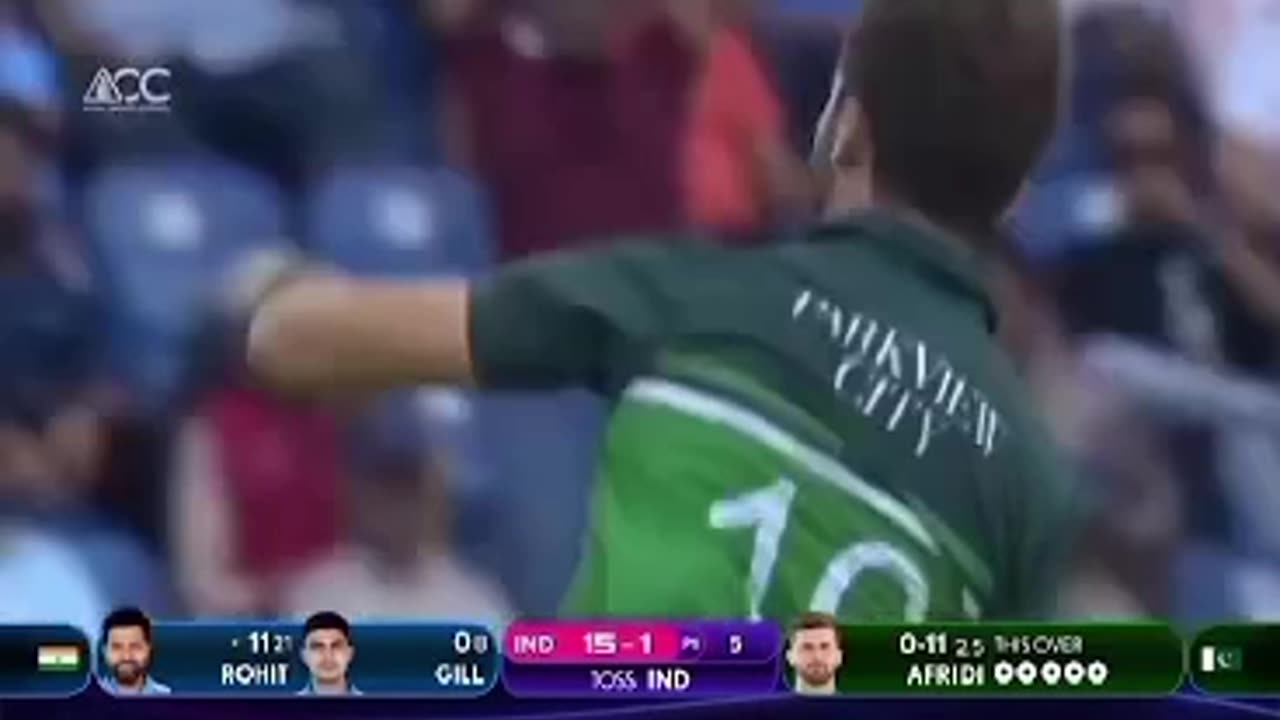 Shaheen