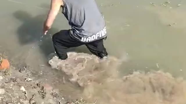 Best Asian Fish Catching Video 🐟 #shorts