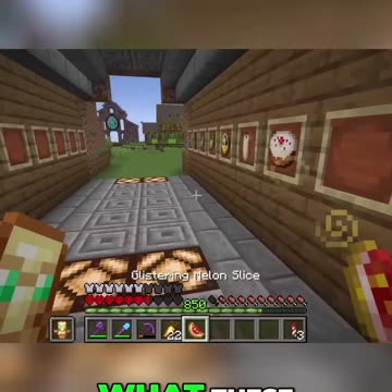 Rare and Useless Minecraft Items: What Are They Even For?