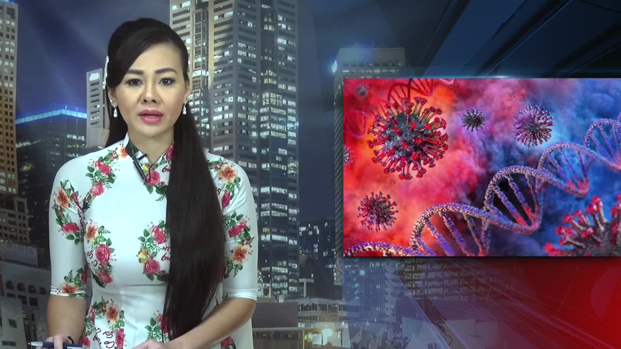 TIẾNG NÓI CÔNG DÂN VN News 01 12 2020