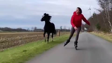 Play with horses and run