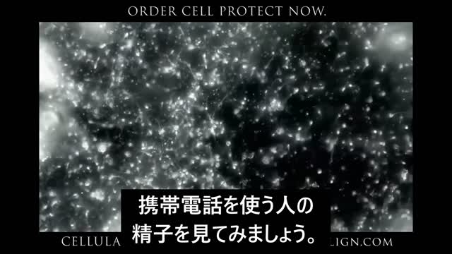 電磁波が精子に与える影響