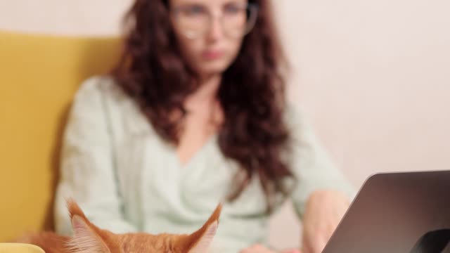 When a cat sits near a girlfriend