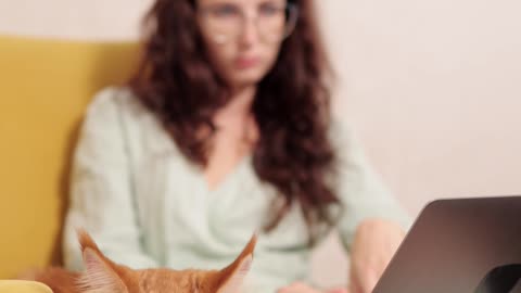 When a cat sits near a girlfriend
