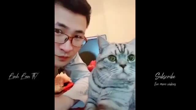 Have fun with the funniest videos on the web.