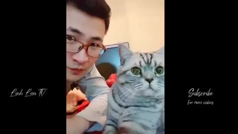 Have fun with the funniest videos on the web.