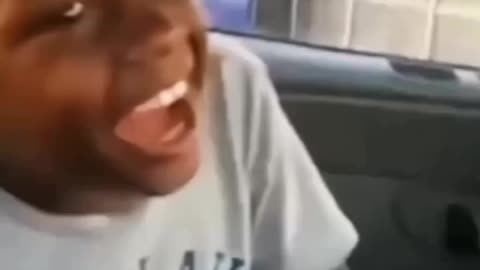 FUNNY ANIMAL COMPILATIONS 😂🤣