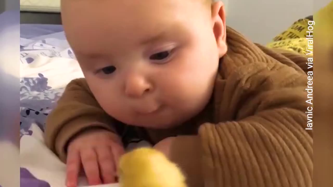 Pretty dumb, viral cute baby,