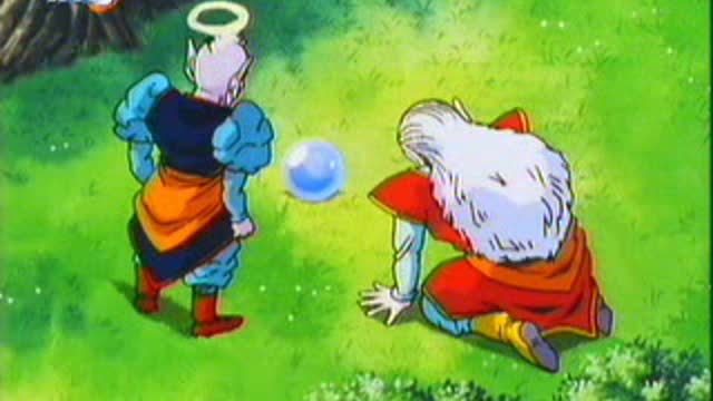 dragonballz 273pl