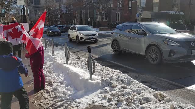 Raw Recording: DT Toronto Trucker Protest Pt 6