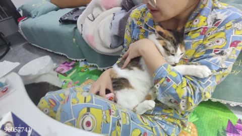 Funny animals