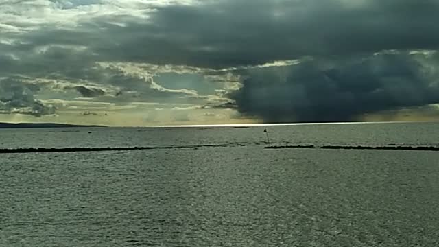 Trump MUST Employ Insurrection Act