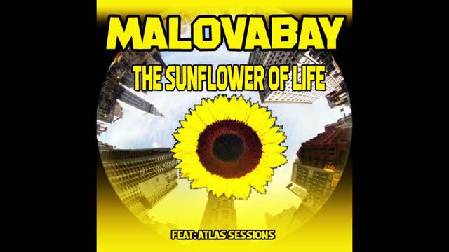 The Sunflower Of Life Malovabay