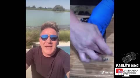 GORDON RAMSEY REACTS TO TIKTOK! THE BEST INSULT EVER!!!