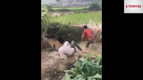 Pesona Indonesia Funny