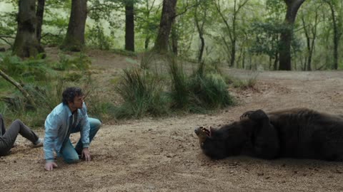 Cocaine Bear: New 2023 Movie Trailer