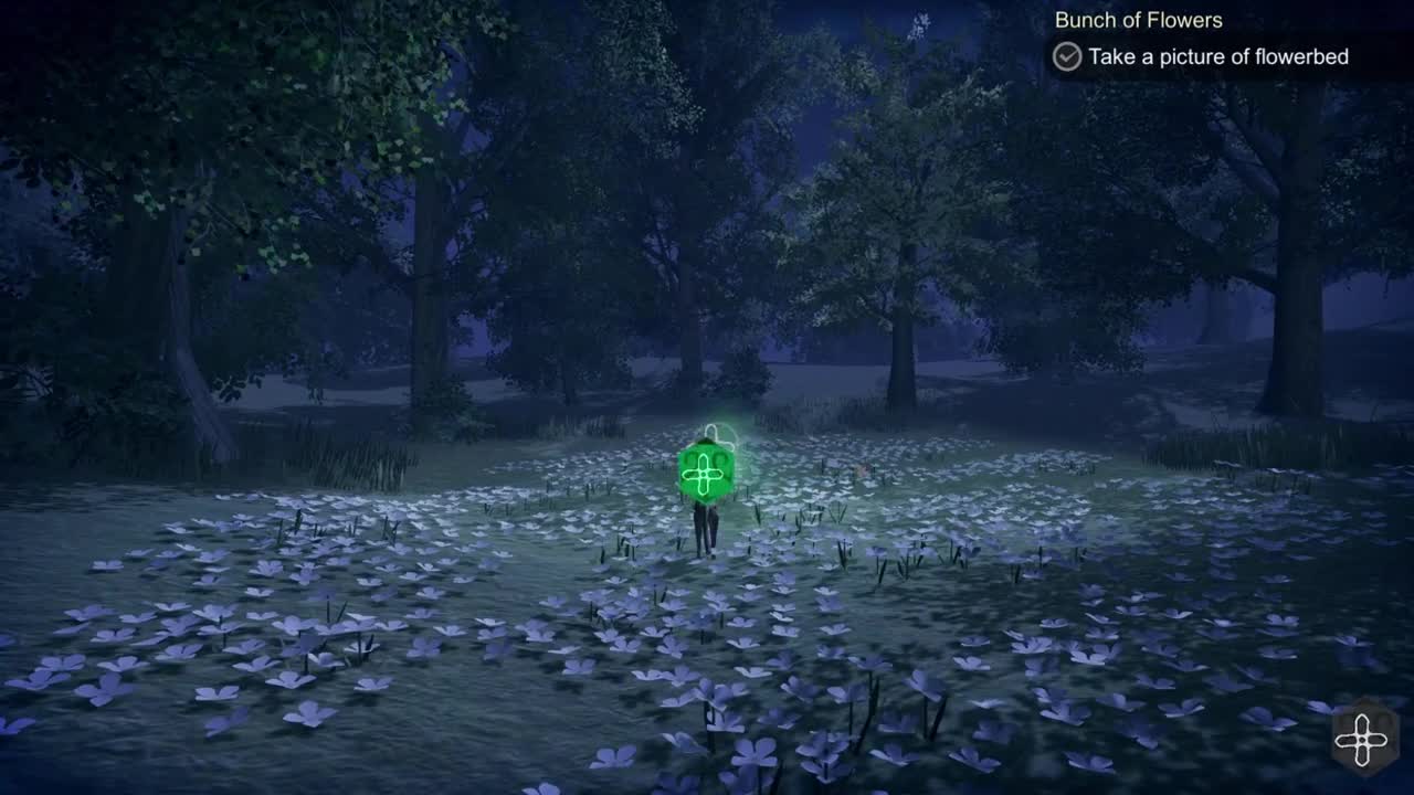 The Good Life Metamorphose into a DOG