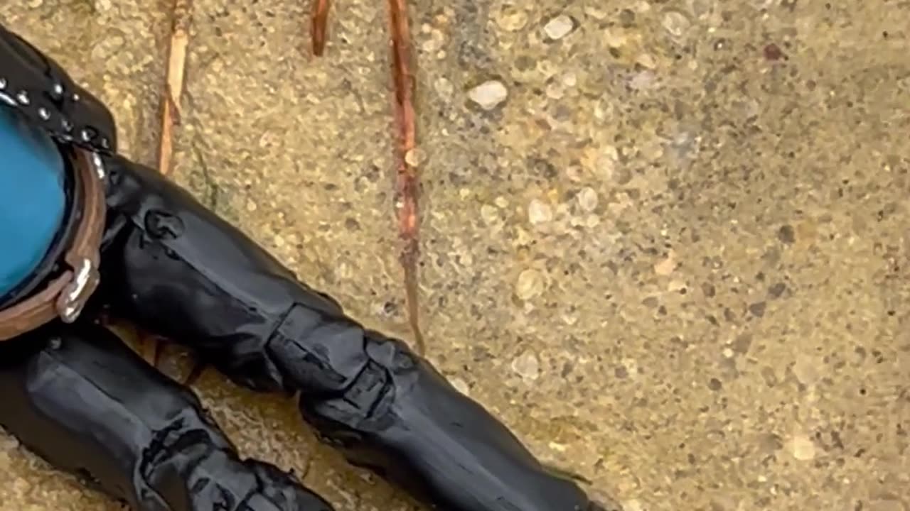 Clay and I go to a Mini Beach Part 2