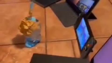 News Break: Toddlers these days.