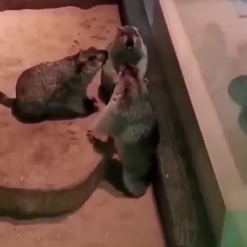 Fortunately there is it☺️⁣