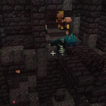 Can the Warden be summoned in the Nether?