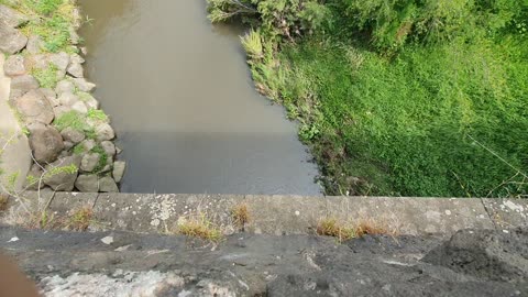 Merri Creek Coburg Melbourne Australia